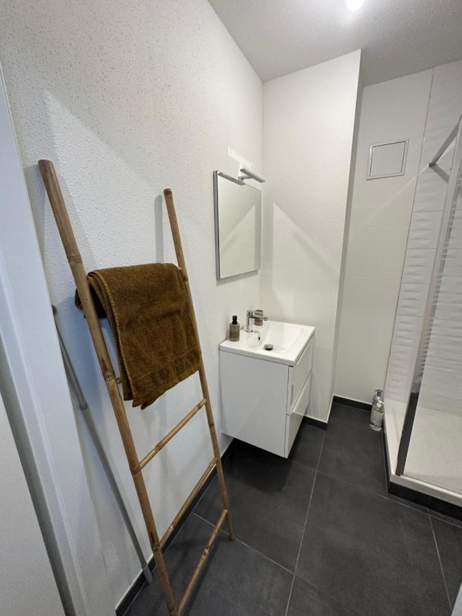 Appartement Atypique Proche Gare/ Dans L'Hyper-Centre Spacieux Pour 6P Au Coeur De Mulhouse Eksteriør billede